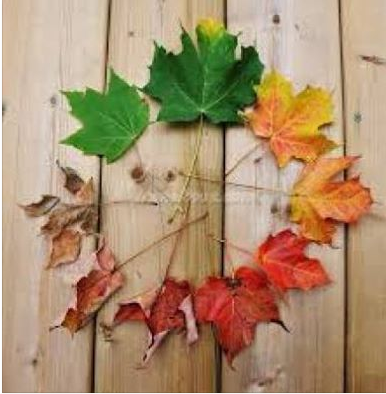 [تصویر:  328263_hzkngo14faiatixpiusf.png]